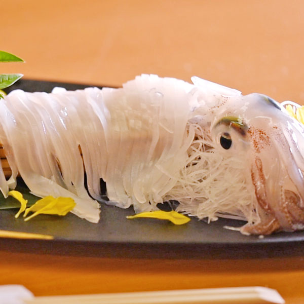 透き通る美しさ 活イカ 岡山 魚料理 寿司