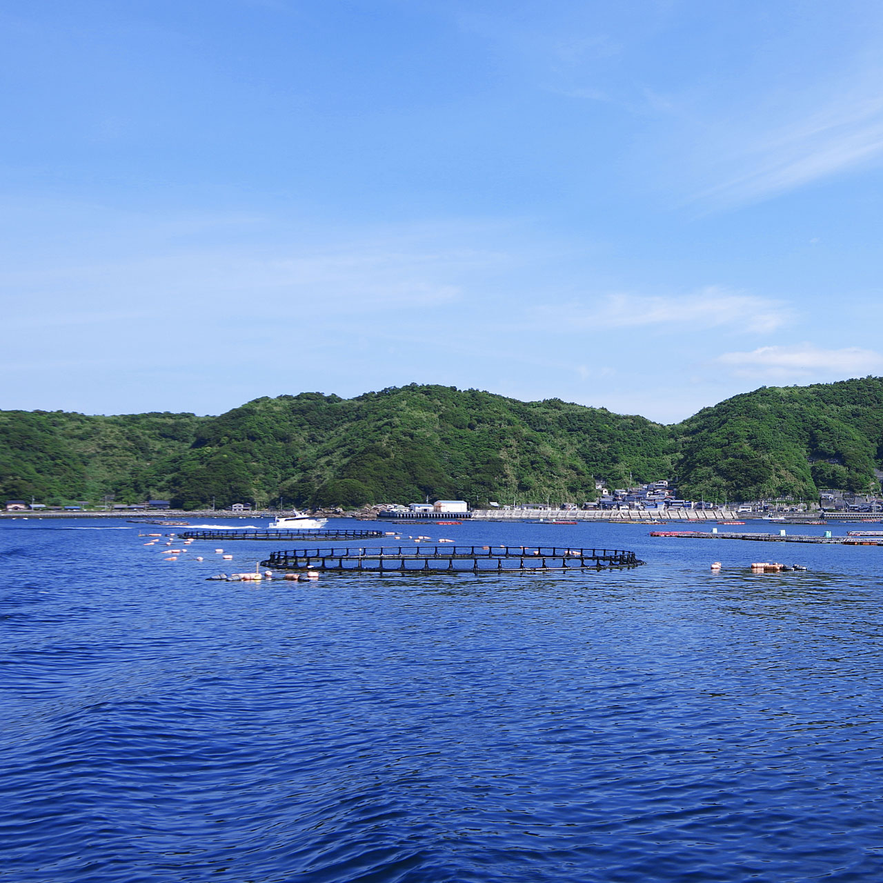 岡山 本マグロ 瀬戸内回転寿司 旬や