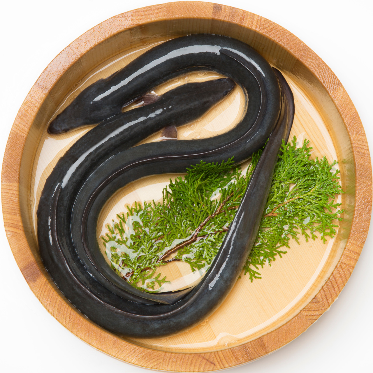 岡山 寿司 瀬戸内回転寿司 旬や