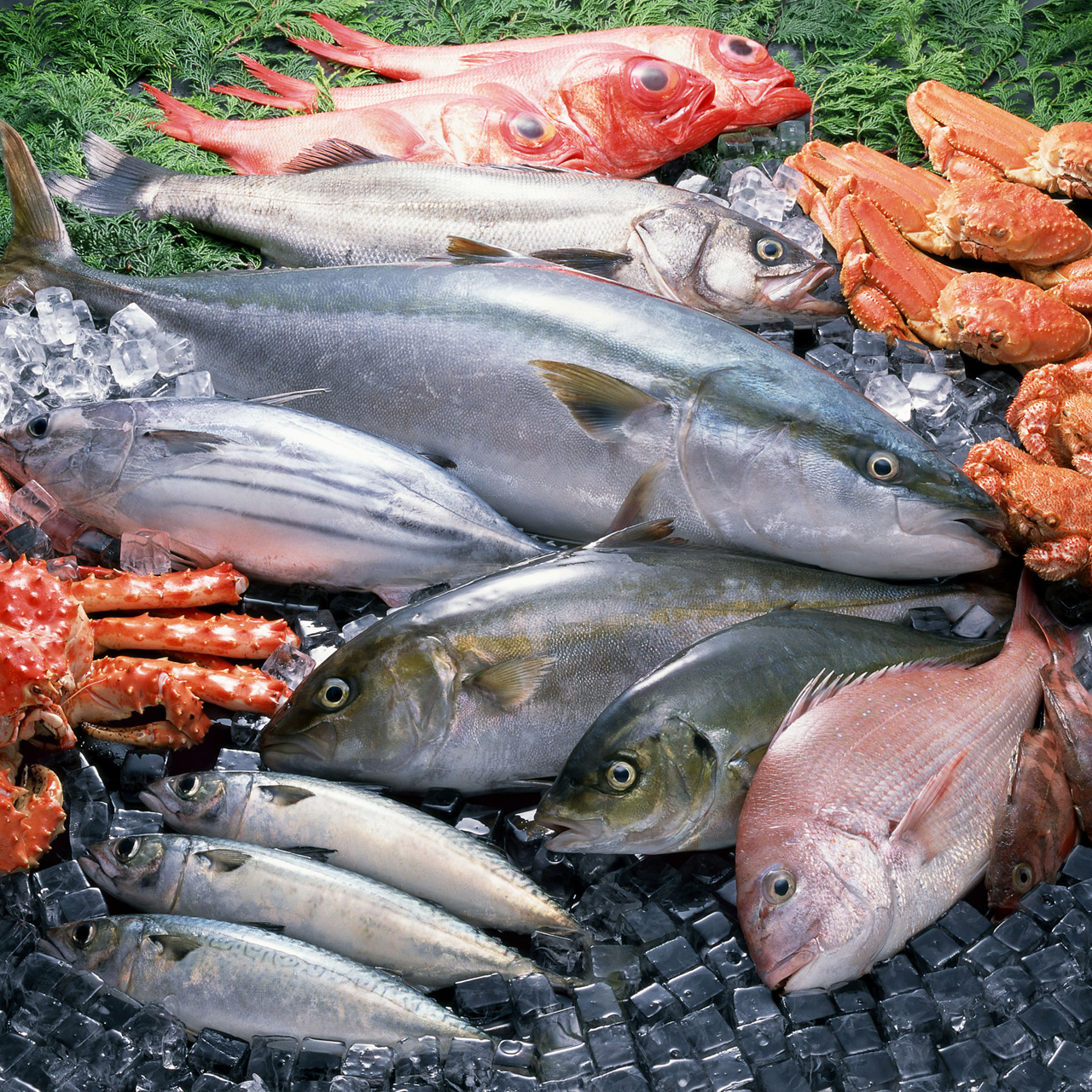 岡山 寿司 瀬戸内回転寿司 旬や